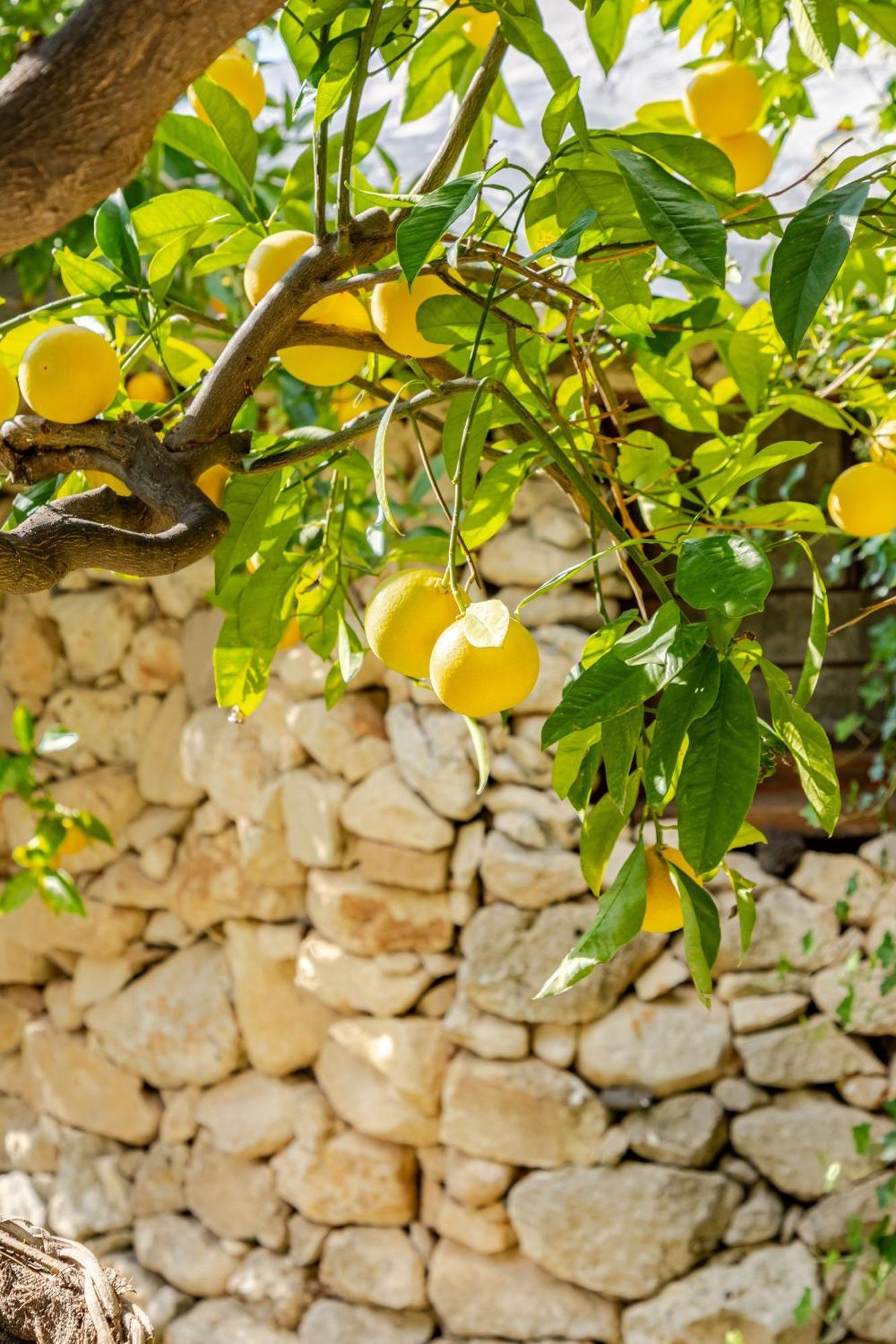 Masseria Usamborgia Noto Buitenkant foto