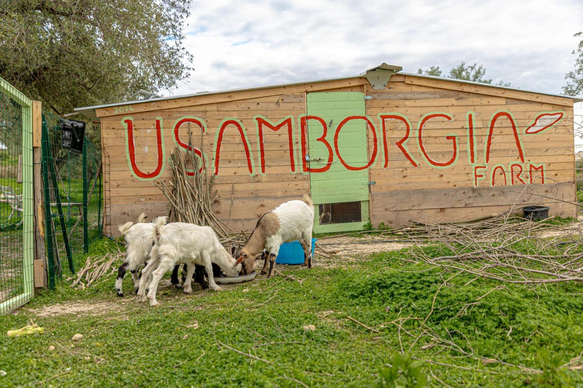 Masseria Usamborgia Noto Buitenkant foto